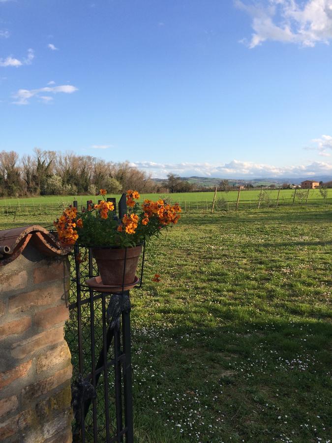 Agriturismo Il Pettirosso Forli Exterior photo